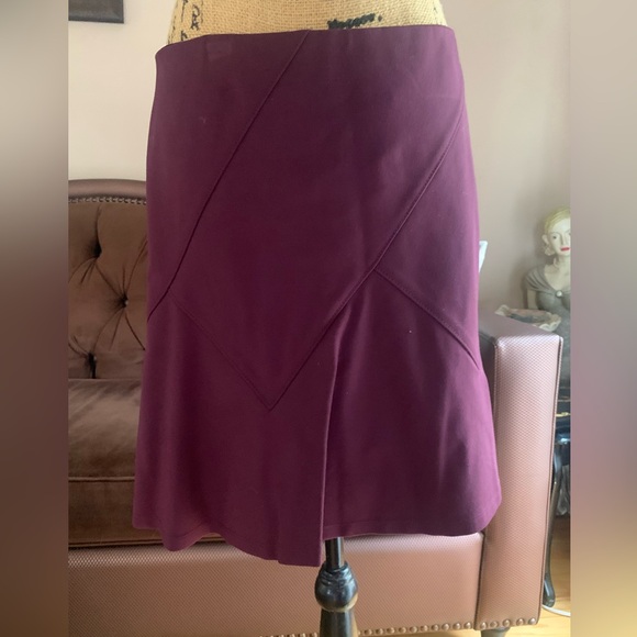 Berry color skirt - Picture 1 of 5